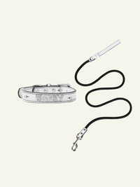 Follow Me Bundle - White