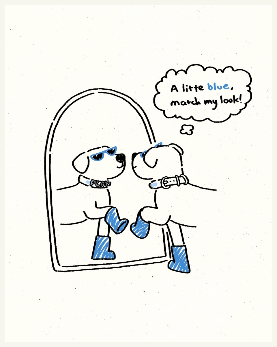 Endless Combinations