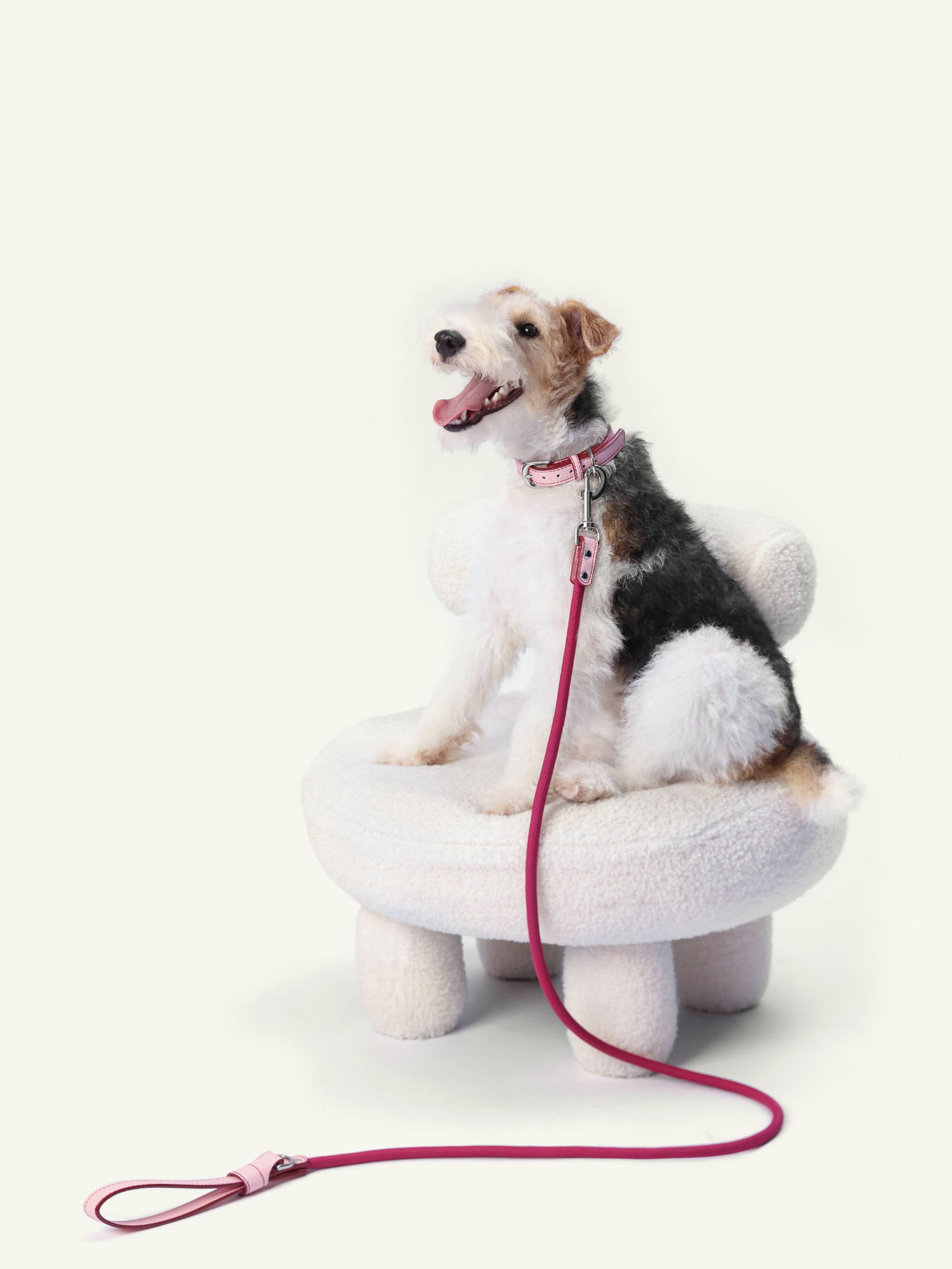 Follow Me Leash - Pink