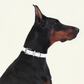 Follow Me Collar - White