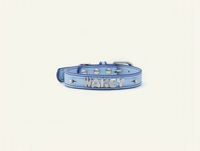 Follow Me Collar - Blue