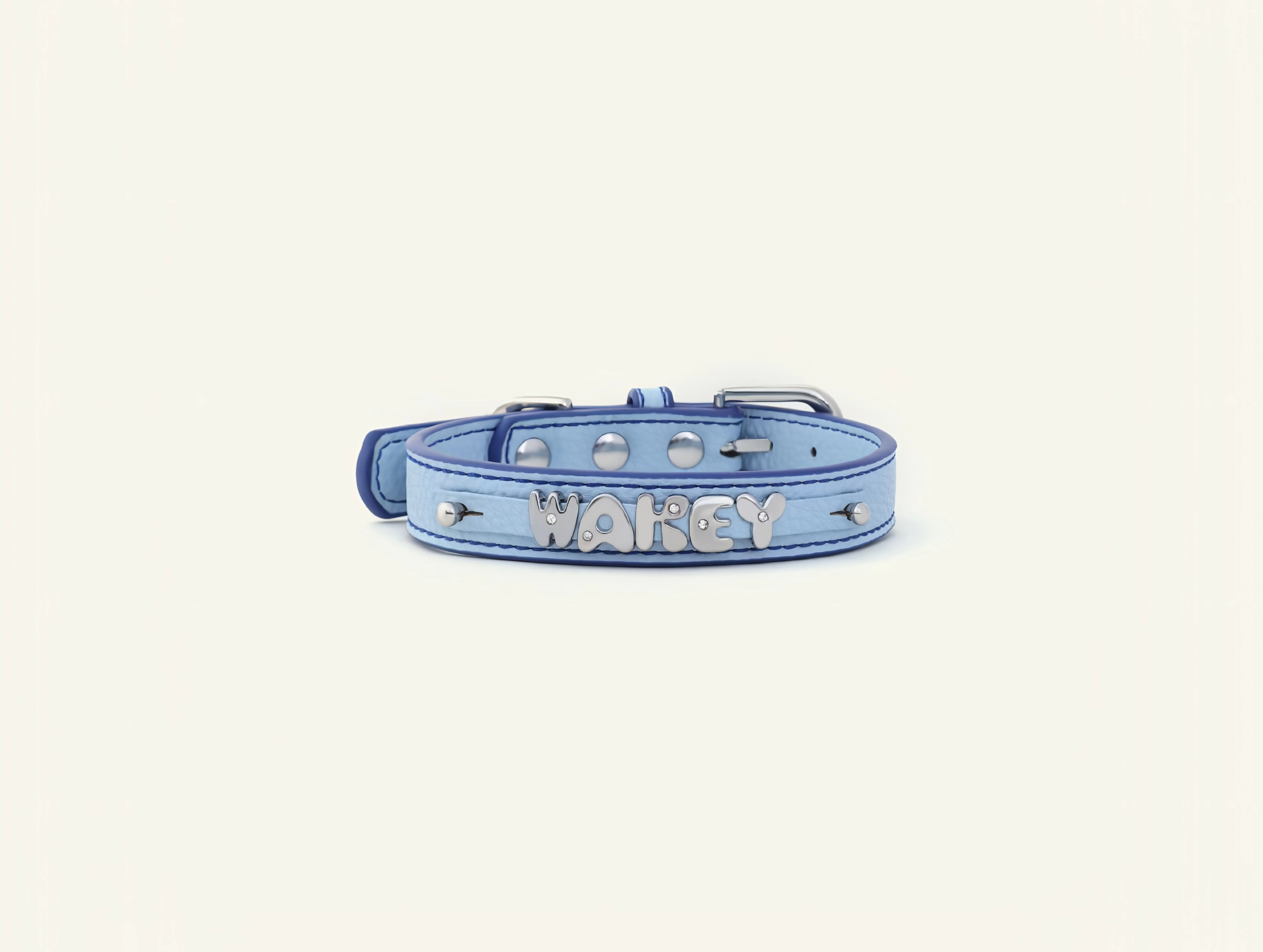 Follow Me Collar - Blue