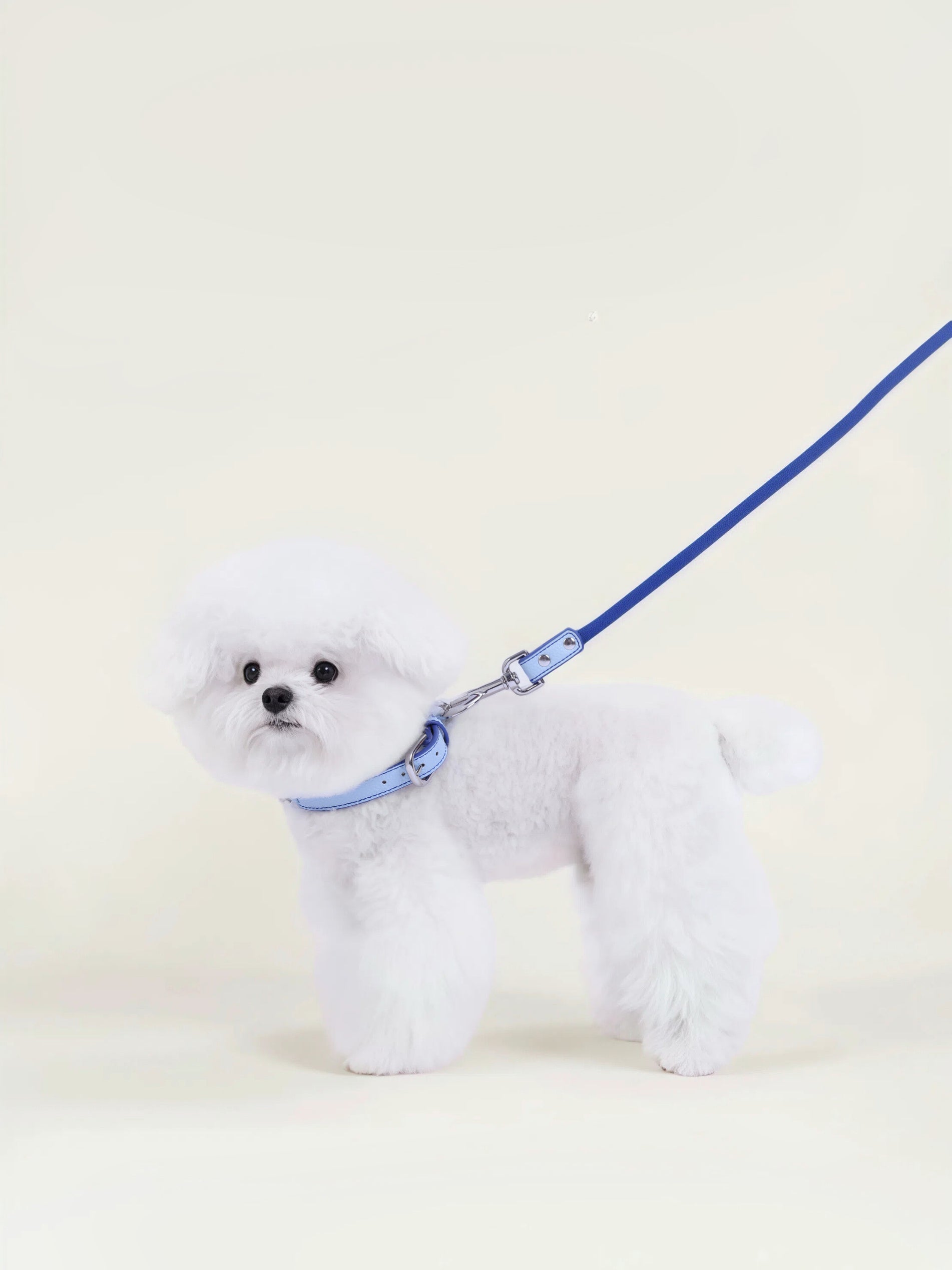 Follow Me Bundle - Blue