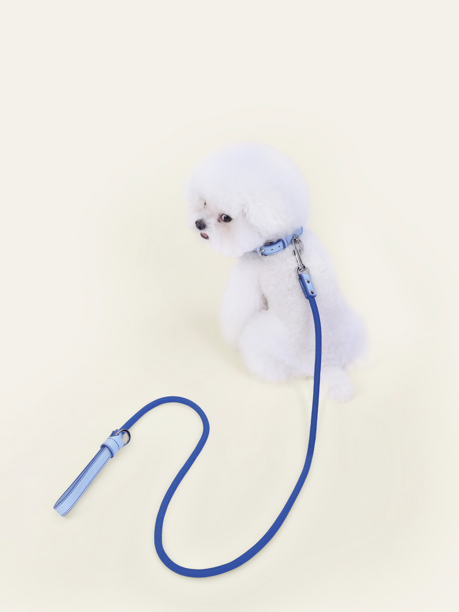 Follow Me Leash - Blue