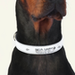 Follow Me Collar - White