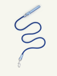 Follow Me Leash - Blue