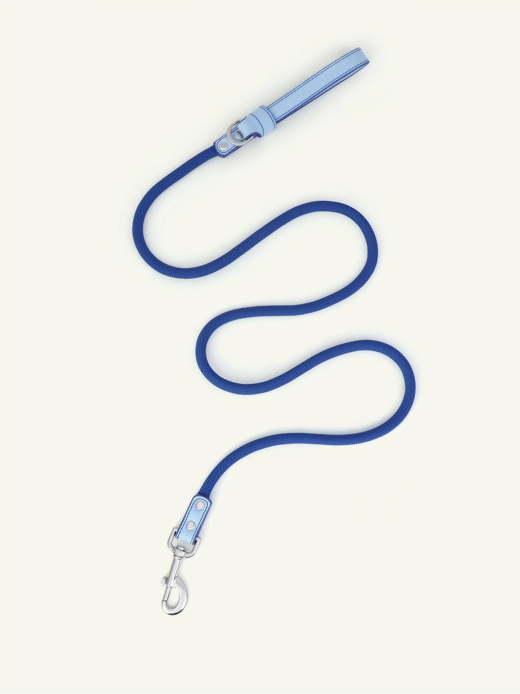 Follow Me Leash - Blue