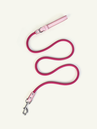 Follow Me Leash - Pink