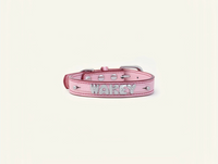 Follow Me Collar - Pink